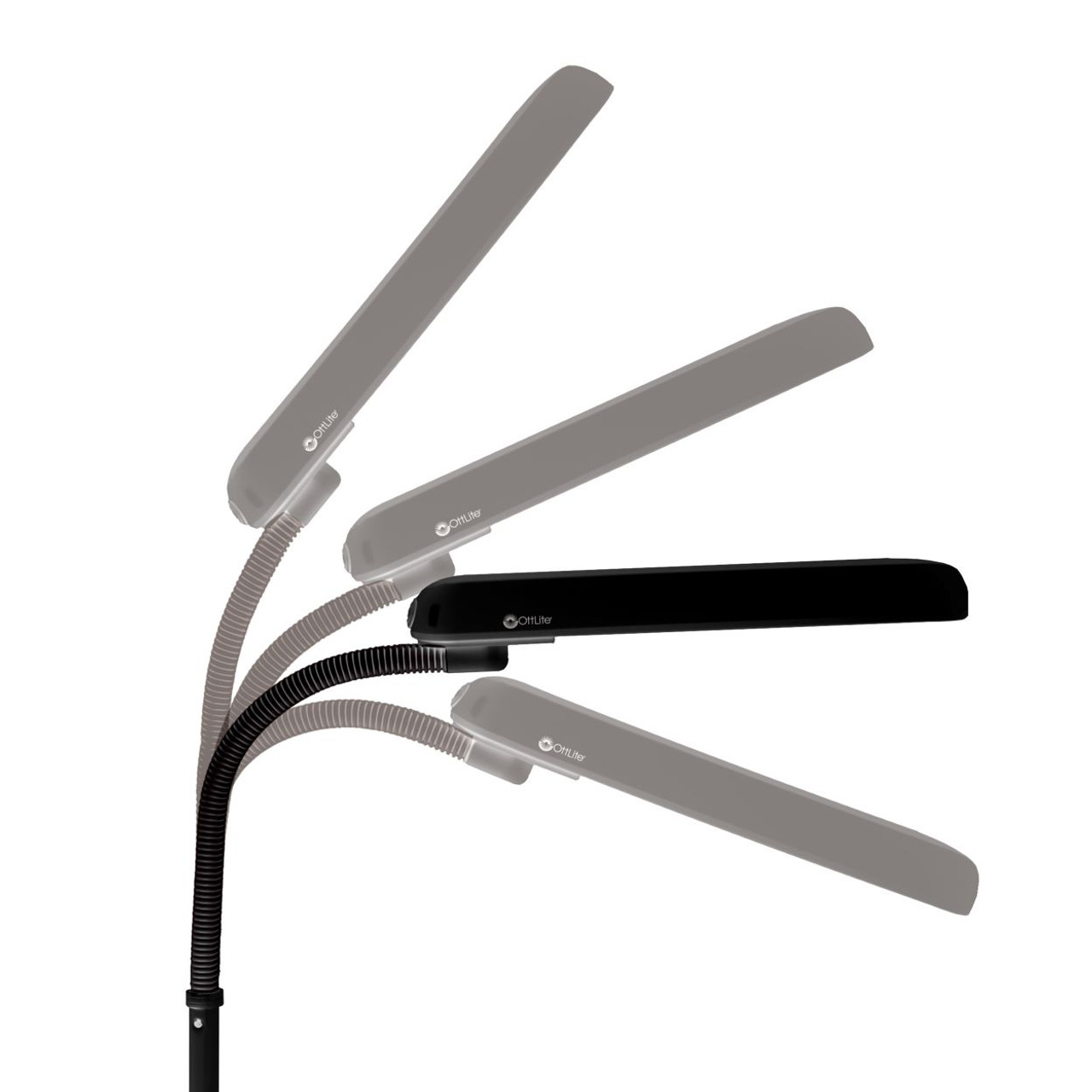 401127_head_moving__65356